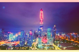深交所向向日葵发出问询函